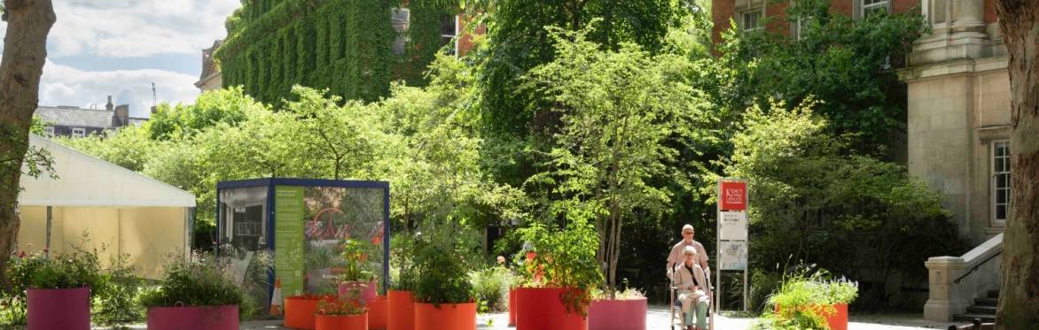 King's College Campus Gardens Tour