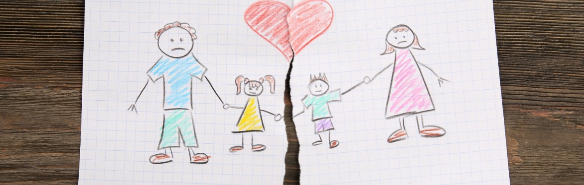 FSI Workshop: Bowen Family Systems Theory in Clinical Practice with Family Violence