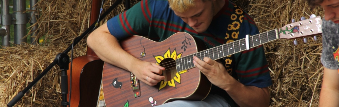 Sunflower Cottage Festival