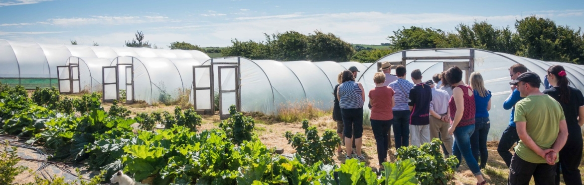 Image of Gort na Nain Farm Walk