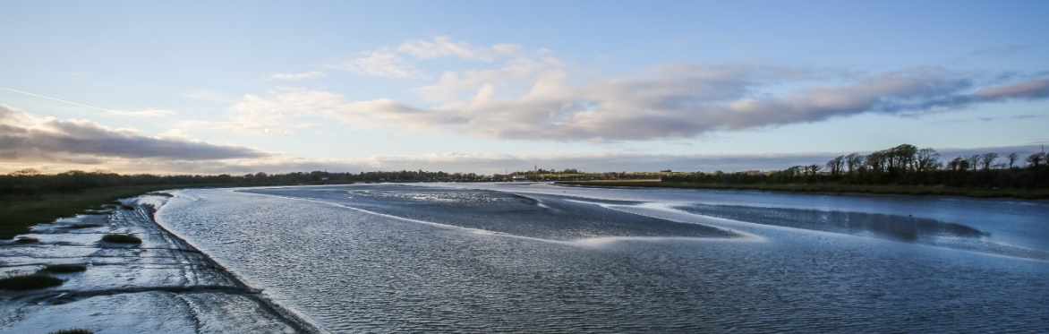 Wyre Big Estuary Clean