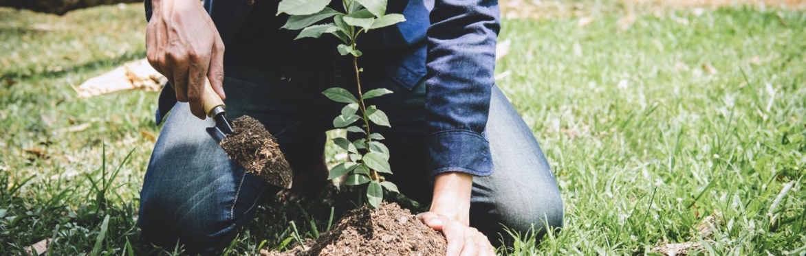 Fundraising Essentials with Mikhael Bornstein