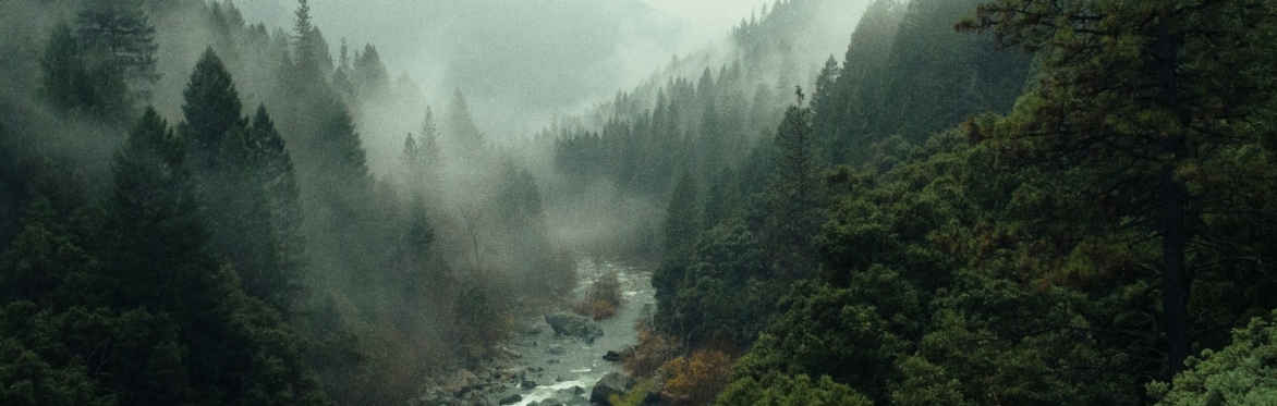 Breathe to Thrive: A Winter Reset for Leaders & Entrepreneurs