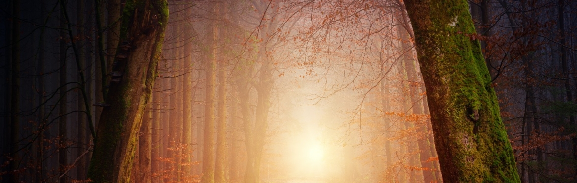 Traditional Storytelling: The Craft and Creative Skill
