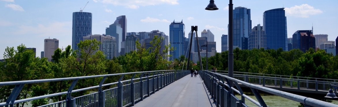 How Does This Benefit Us? Regional Collaboration and the Calgary Metropolitan Region Board