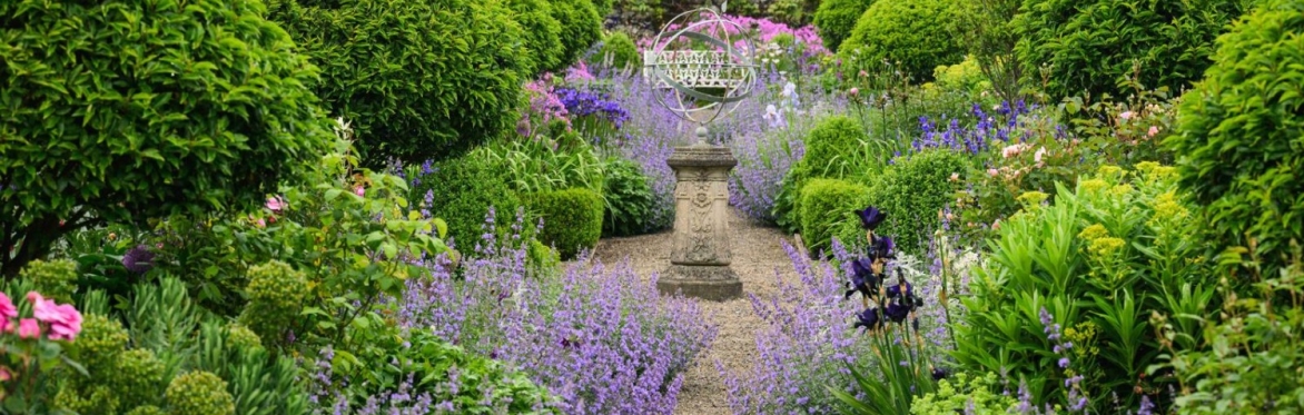Paint/Sketch Out in Duras Walled Garden
