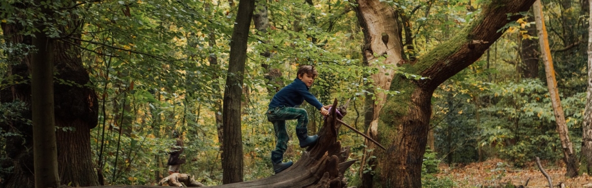 Boy climbing tree