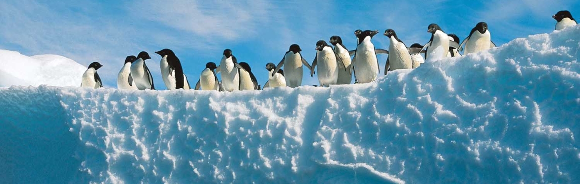 Mission: Antarctica