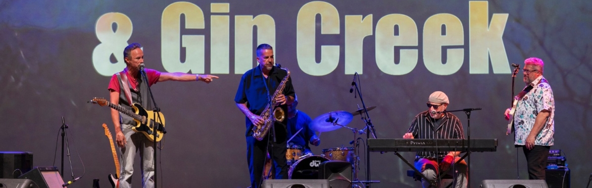 Mark Hurwitz & Gin Creek