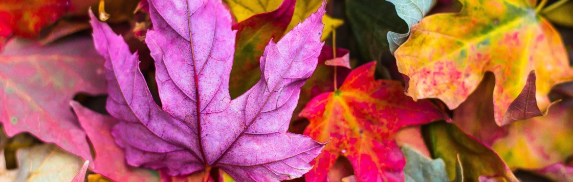 Values 101: Creating the cultural conditions for change
