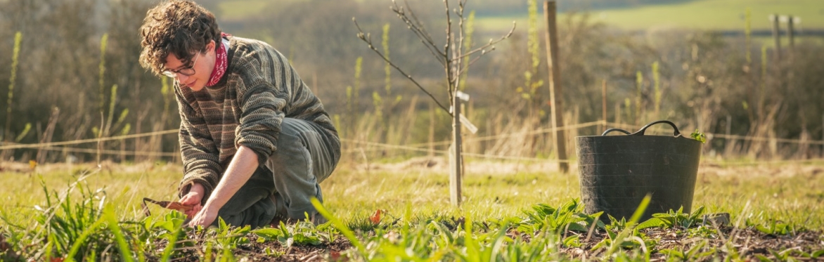 Intro to Regenerative Horticulture Taster Day