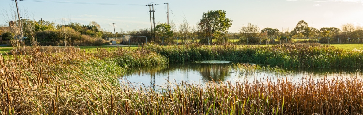 West Malton Wycke Pond credit @Walk it Local MDC