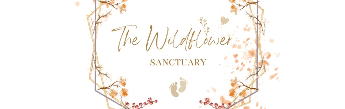 The Story Time Sanctuary 📖 🍁 ✨ MIXED AGE