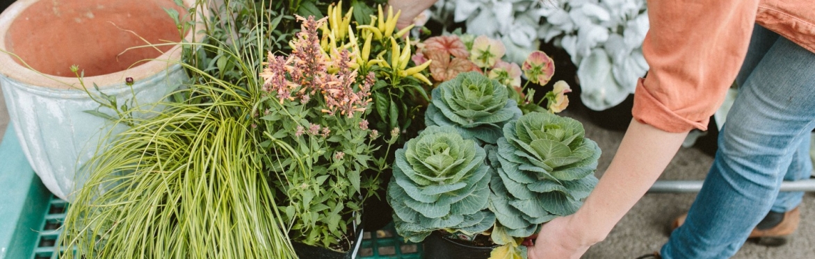 Fall Container Design Workshop
