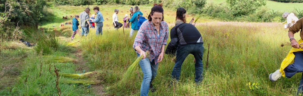 The Flax Meitheal Harvest Celebration 2026