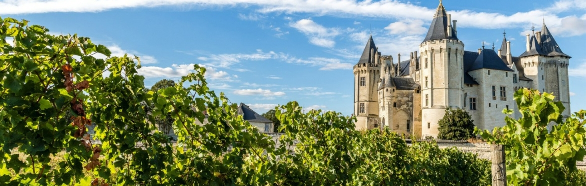 Friday Night Wine School - La Touraine, Loire Part 2
