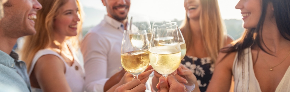 Business Leader Summer Social