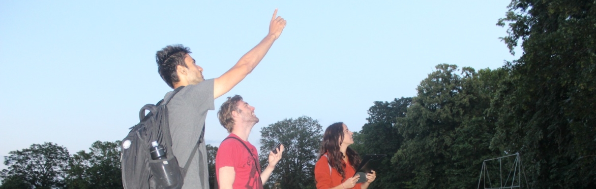 NBMP Beginner Level Workshop: Discover Your Local Bats (Online)