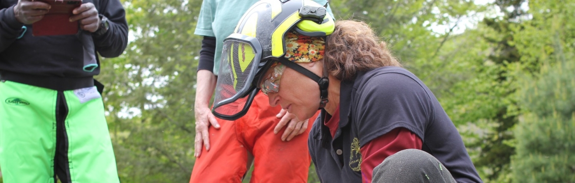 Chainsaw Safety Seminar Level 2--Moving Beyond Firewood