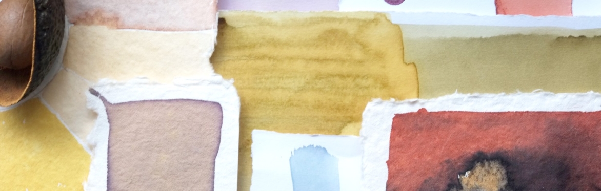 An array of colour swatches made from botanical inks.