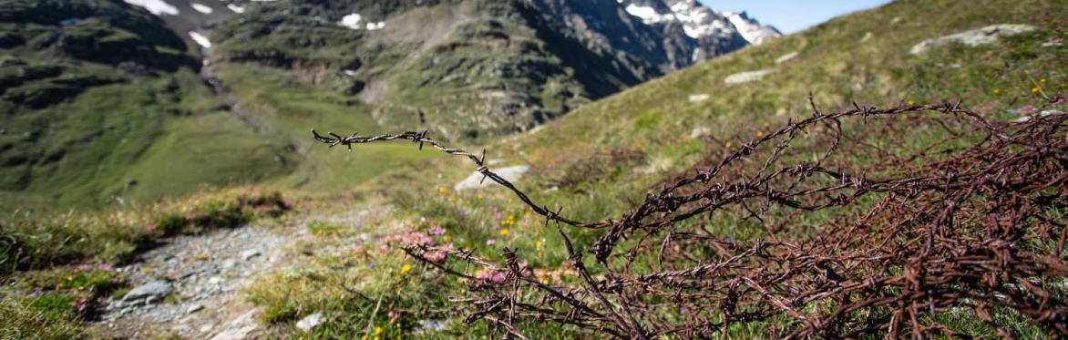 Trekking del Giovedì - CAMMINANDO NELLA STORIA