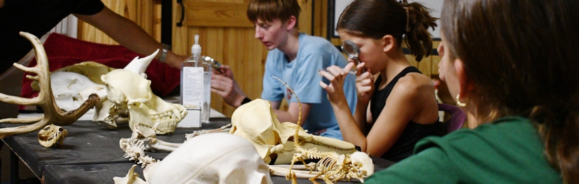 WildSide Discovery Days