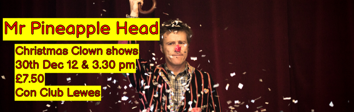 Mr Pineapple Head Clown Show