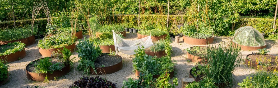 The Regenerative Garden: Seed Saving