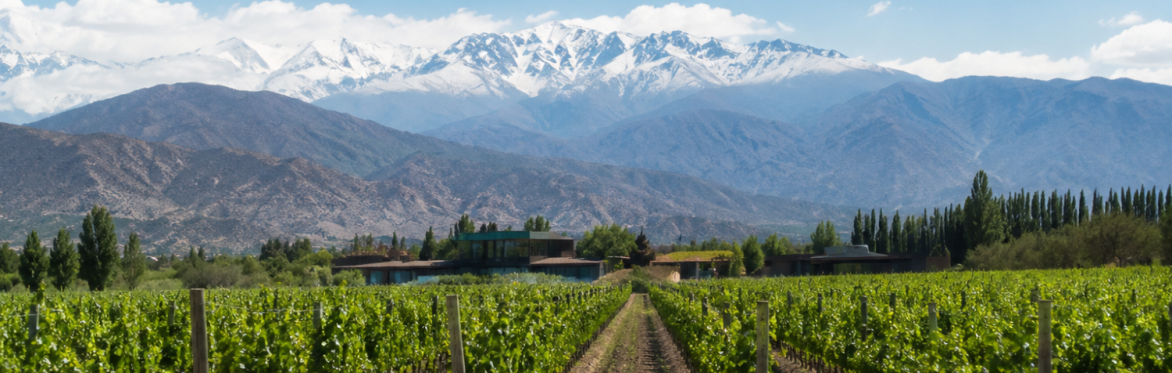 Exclusive Chilean Tasting (English)