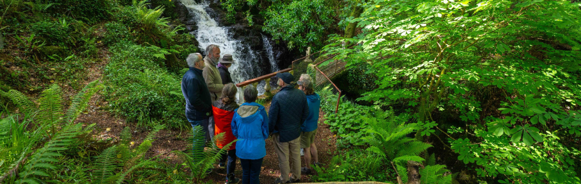 Walk & Talk: Managing invasive species in Myross Woods