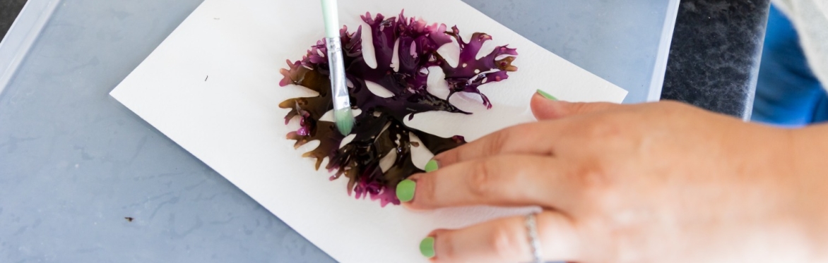 Seaweed Pressing Workshop