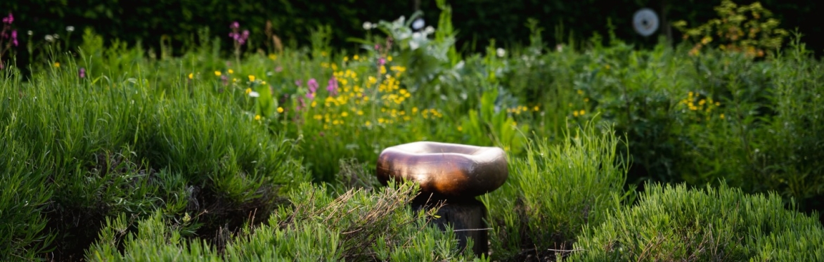 Open Gardens Fundraiser for North London Hospice