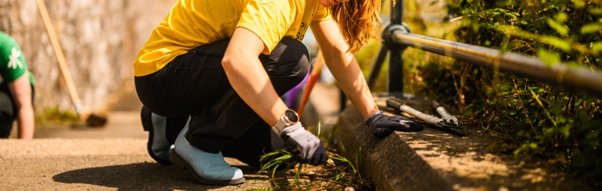 Tidy Up Tinside - Community Cove Restoration Day
