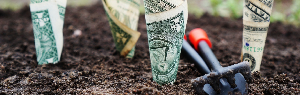 Trustee Training – Fundraising options for your organisation