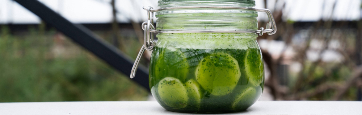 The Alchemy of Fermentation