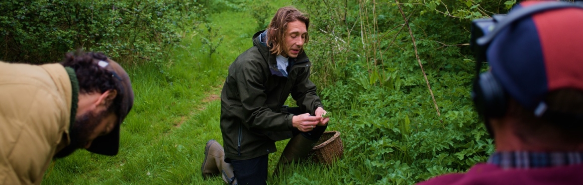Group Foraging in the woodland