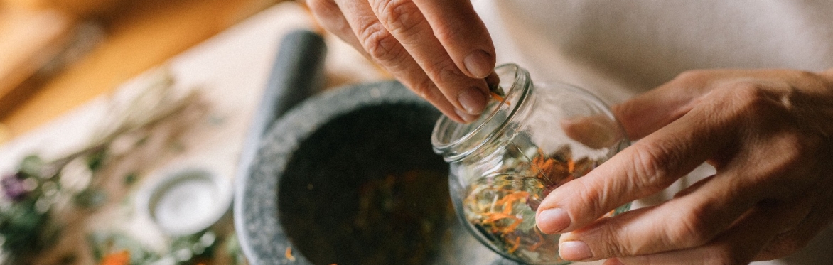 online herbal medicine course