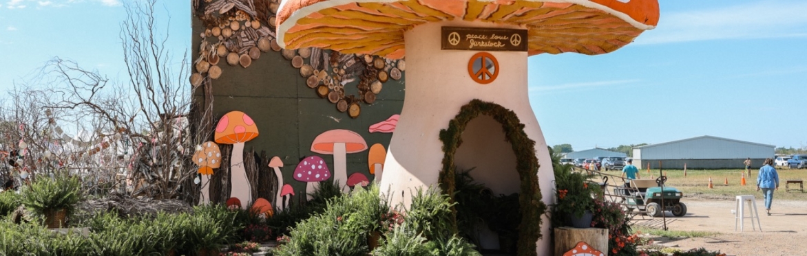 Junkstock:Spring 2026 Weekend 1 (Friday -Sunday)