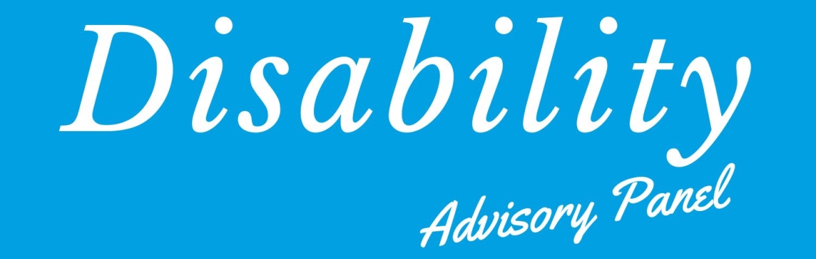 Disability Advisory Panel