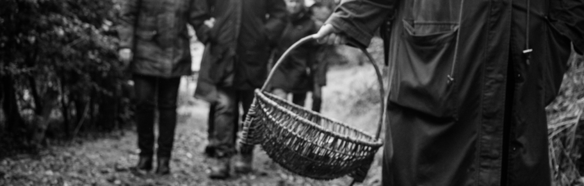 Foraging Workshop - A Spring Gathering