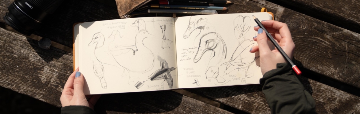 Birdwatching Sketchbook Workshop – Nature Journaling for Birdwatchers