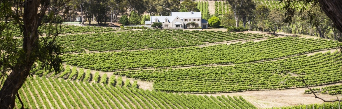 Mount Veeder to McLaren Vale - A Tale of Two Terroirs