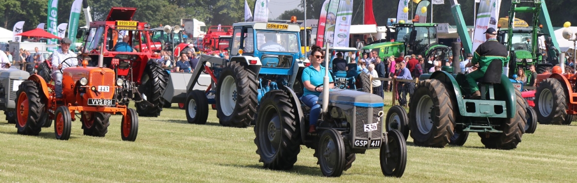 The Angus Show