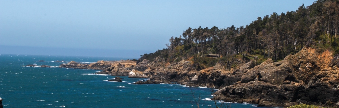 Ocean Cove Retreat - 2026