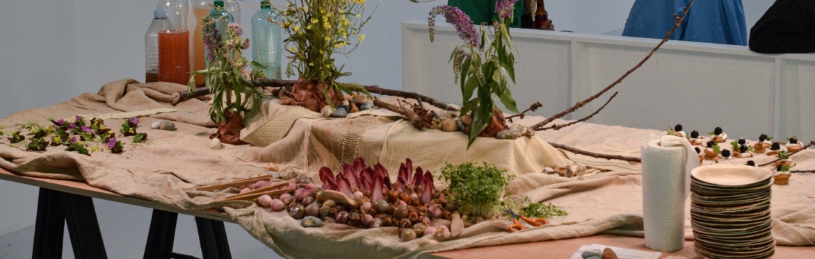 Plating the Seasons: A Creative Food Design Workshop