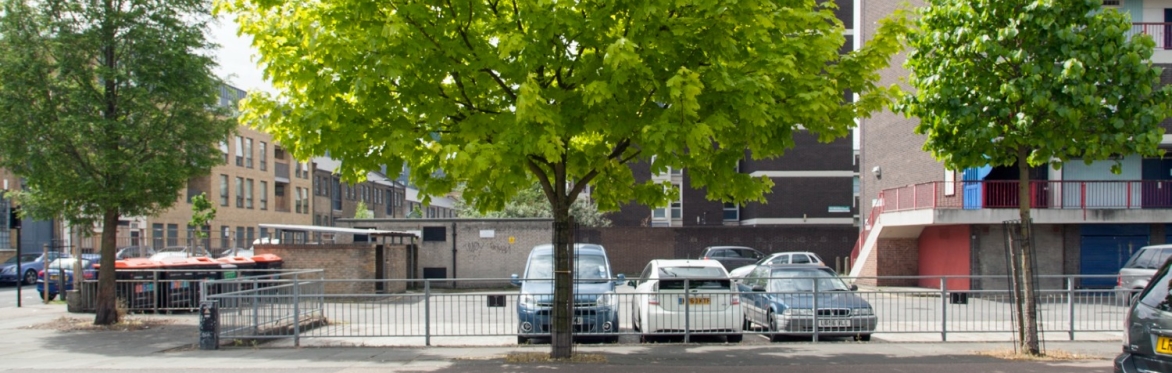 Row of trees in Hackney