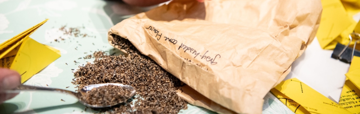The Prairie in Seed