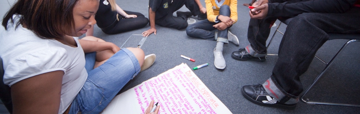 Youth Voice & Participation Network Meeting
