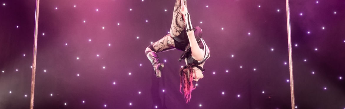 Aerial Shine | The Pole Room