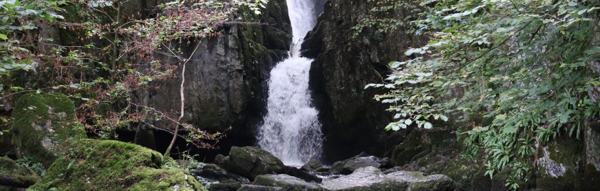 Guided Walk @ Stainforth (Salmon Run)